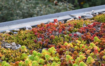 the cost of The Headland green roof installation